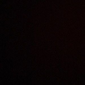 Meet your Posher, Coryn